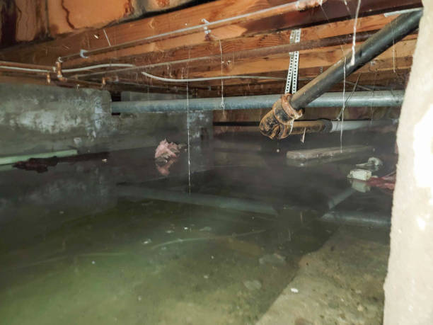 Best Ceiling water damage repair  in Garden View, PA