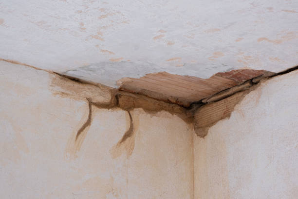 Best 24-hour water damage restoration  in Garden View, PA