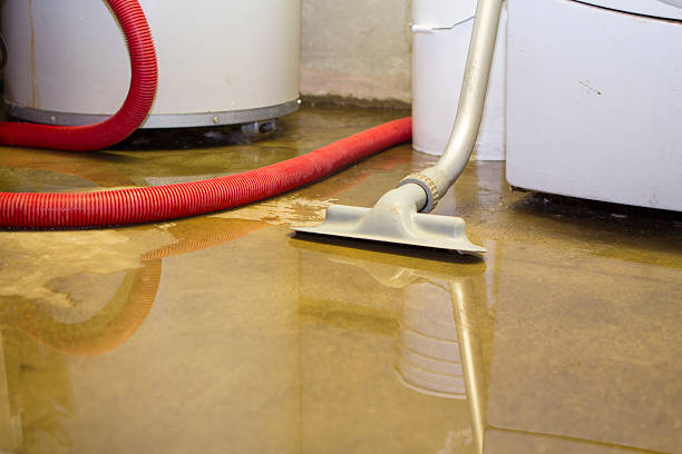 Best Water damage repair service  in Garden View, PA