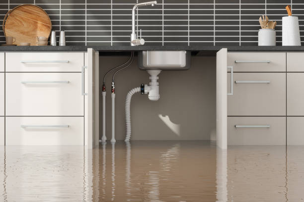 Best Flood damage cleanup  in Garden View, PA