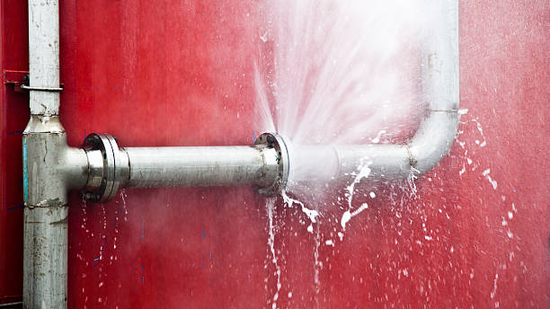 Best Local water damage restoration  in Garden View, PA