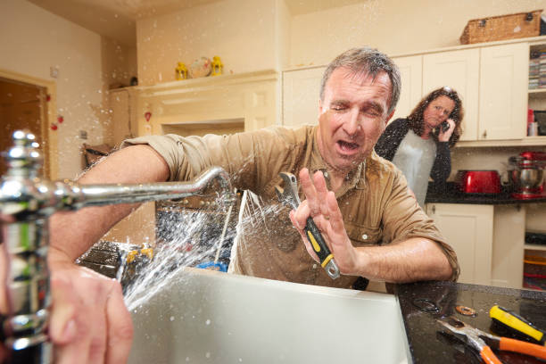 Best Flooded house restoration  in Garden View, PA